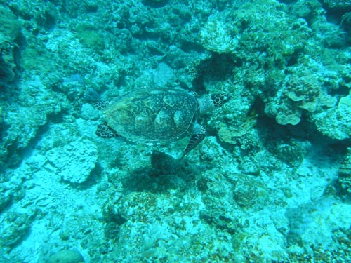 c0070933_21551526.jpg