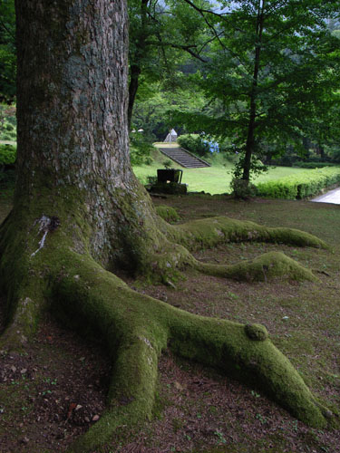 福井県小浜　瓜割の滝　鵜の瀬　神宮寺_a0081352_2356399.jpg