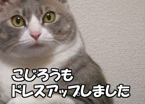 マッドフラップ_b0083267_0161618.jpg