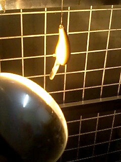 最終テスト_a0040876_0315071.jpg