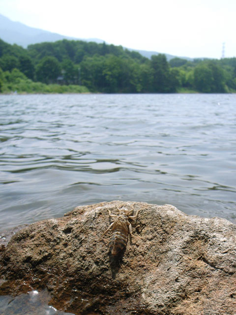 b0072176_1055587.jpg