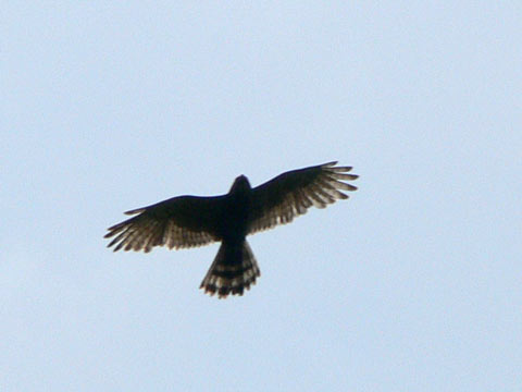b0072176_14305395.jpg