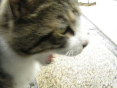 c0034595_23028.jpg