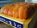 e0028505_154215.jpg