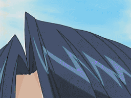 a0078706_924302.gif