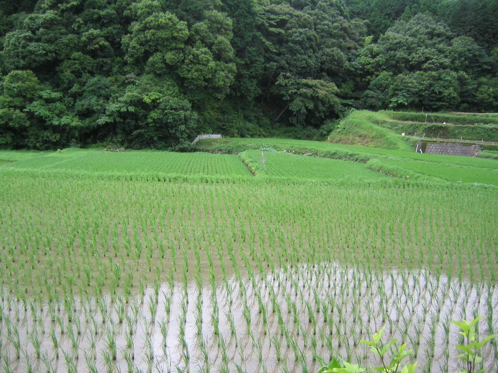 e0001406_234287.jpg