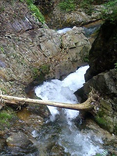 a0059315_0191651.jpg