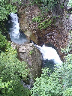 a0059315_019569.jpg