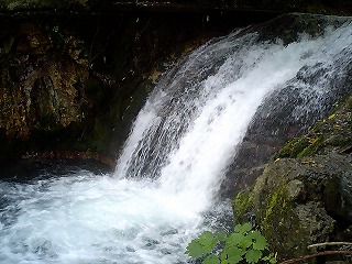 a0059315_0203637.jpg