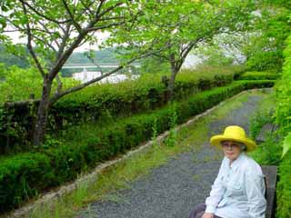 【6179】 梅雨の晴れ間は、森林散策を_e0083820_2223221.jpg