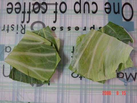 e0086420_14521872.jpg