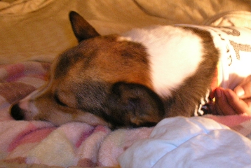 e0071225_16313824.jpg