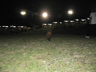 c0075429_2214349.jpg