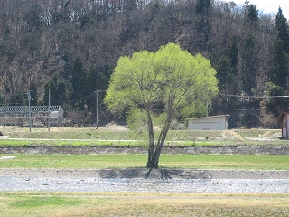 教育シリーズ 第32回_a0019845_172516.jpg