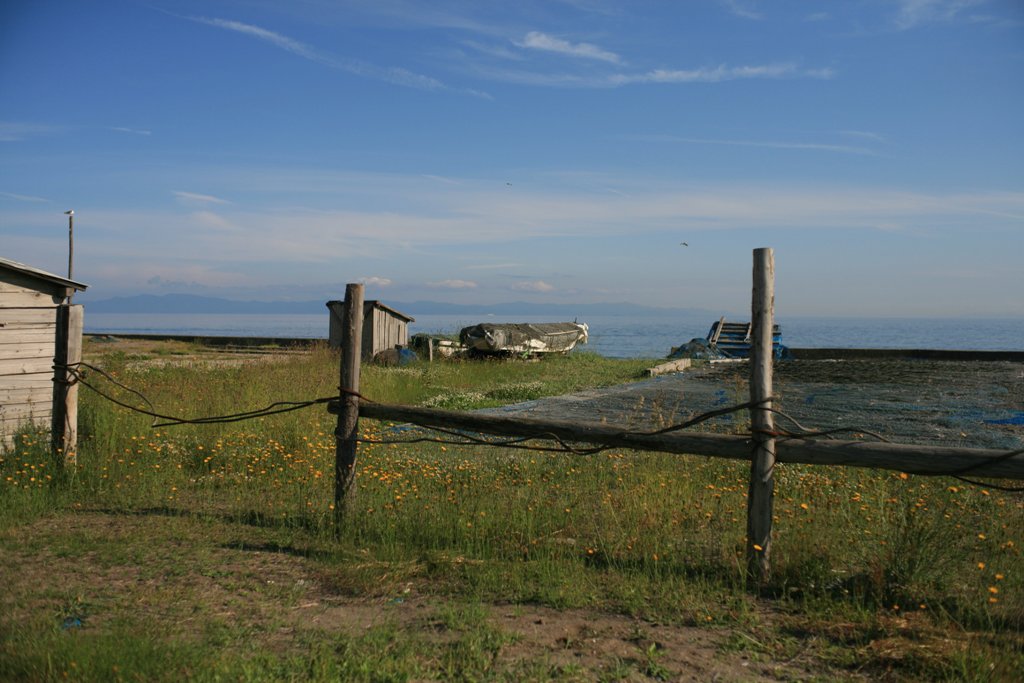 d0001745_259172.jpg