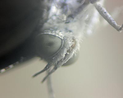 e0035757_22473417.jpg