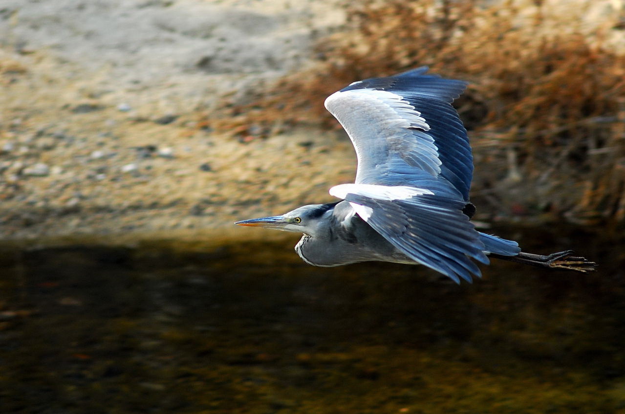 f0055257_2015526.jpg