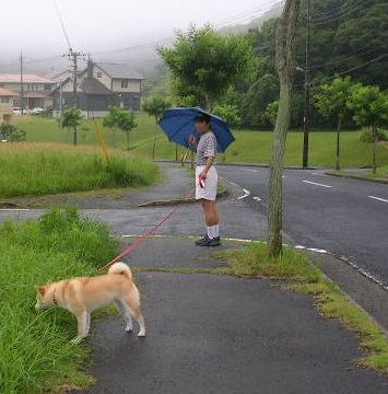 ２００６年７月１日・・・雨のお散歩_f0060461_14351077.jpg