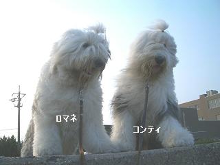 ♪散歩・・_f0072767_1662020.jpg