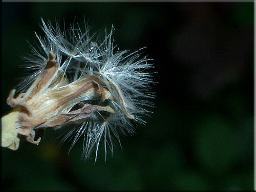 f0104569_014434.jpg