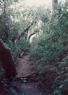 a0058379_04580.jpg