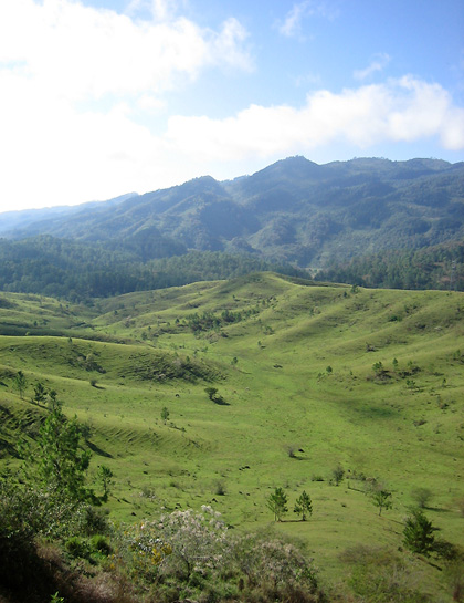 b0083985_05189.jpg