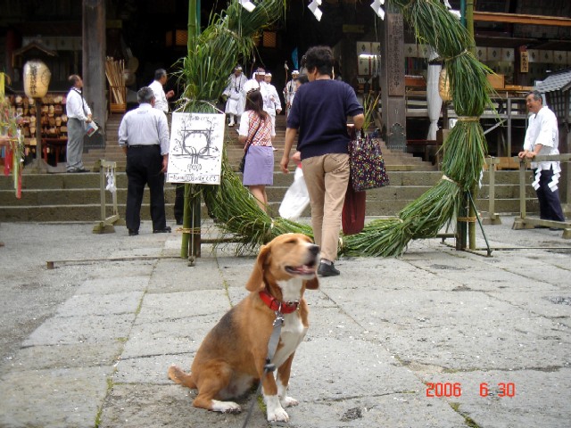 今年も又お山開きが・・・・_a0005691_501860.jpg