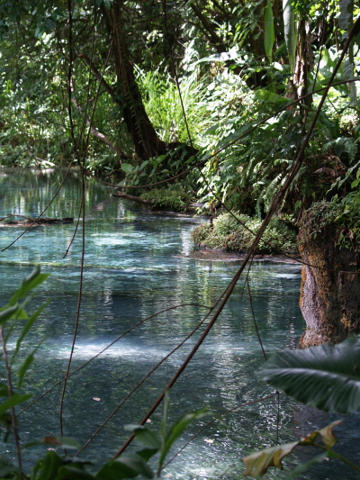 PNG・マダンの美しい湧き水_e0089001_23153330.jpg