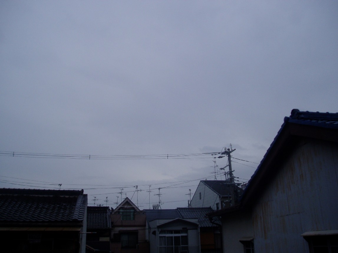 a0079019_8425358.jpg