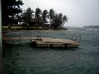 嵐だあ~、台風04W(Ewiniar)顛末_a0043520_902746.jpg