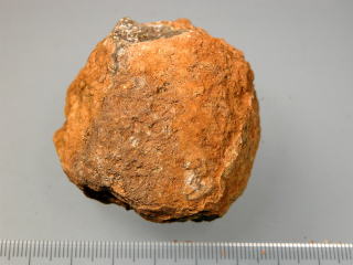 d0045626_1951569.jpg
