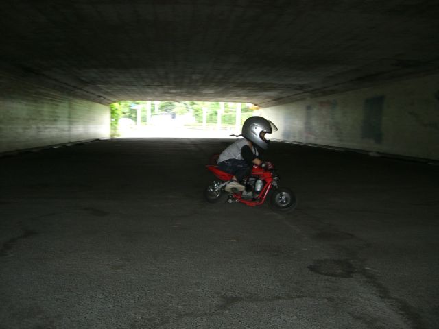 f0065126_192626.jpg