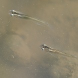 b0081141_22151379.jpg
