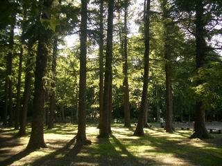 d0018759_1327146.jpg