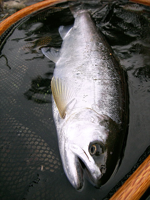f0084561_14551979.jpg
