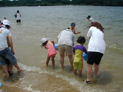 海開き_a0077071_9581744.jpg