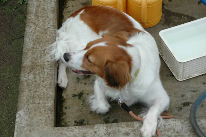 c0075585_18522.jpg