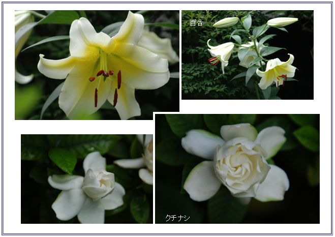 花の香り_c0051105_162981.jpg