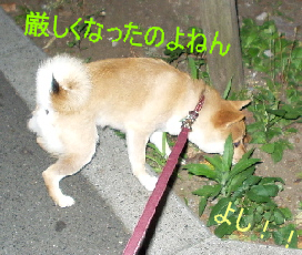 f0004309_9444197.jpg