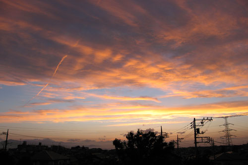 d0011713_9441134.jpg