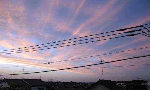 d0011713_948989.jpg