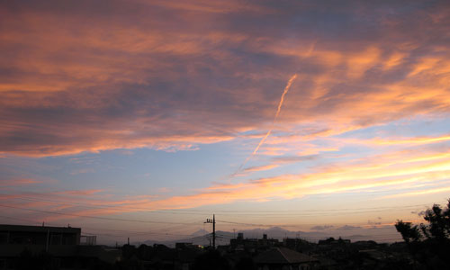 d0011713_9492548.jpg