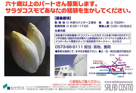 サラダコスモのエイジフリー。_d0063218_14533467.jpg