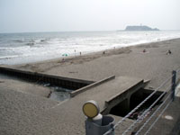 ＊いろんな歳＊　　2006,7,3_a0030038_22282666.jpg