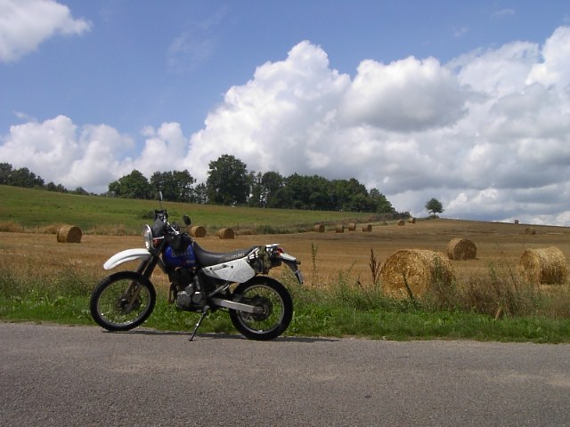 c0011649_155328.jpg