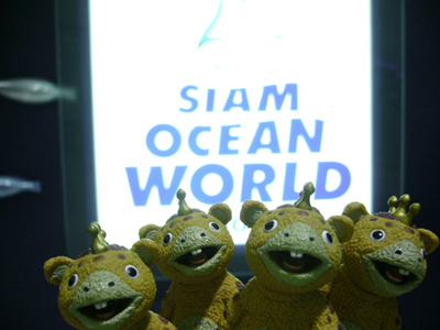 ブースカーズのタイ紀行　その4　水族館で危機一髪！編_a0046652_16463023.jpg