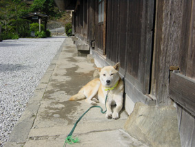 森の生き物もの者_e0067358_18481448.jpg