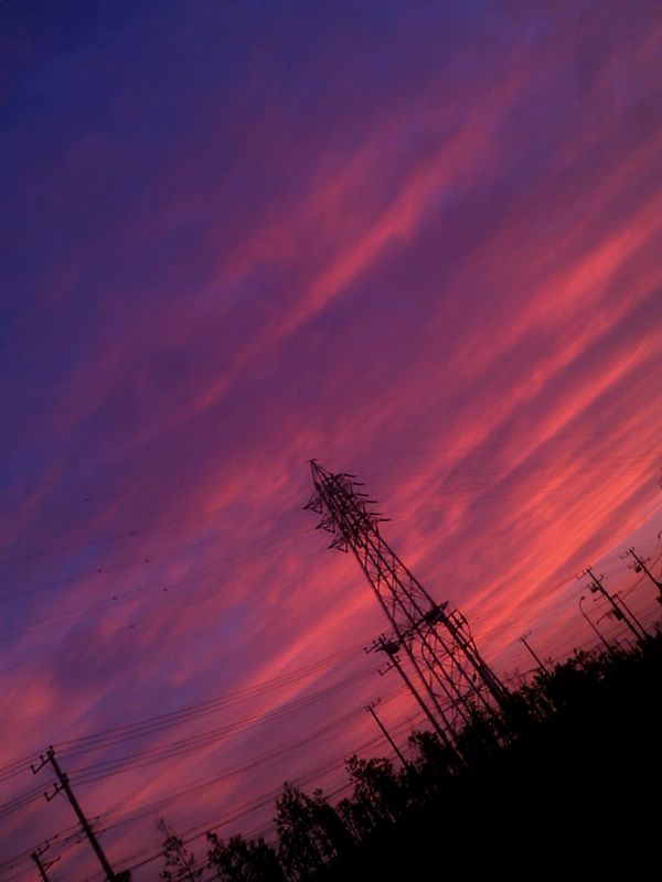 c0019267_7275612.jpg