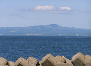 f0101174_2110944.jpg