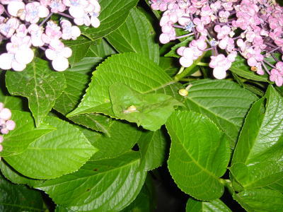 b0055276_23504914.jpg